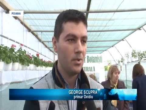 Atelierul micilor botanişti