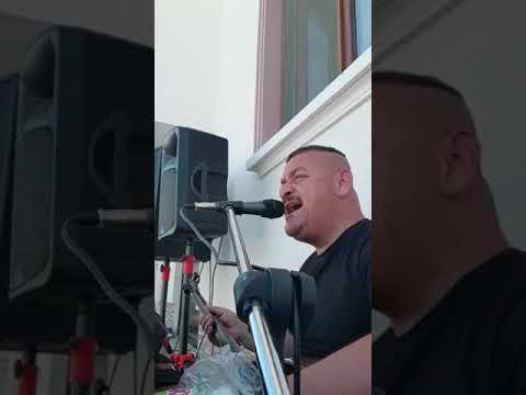 Sefil baykuş RECEP ÖZTÜRK