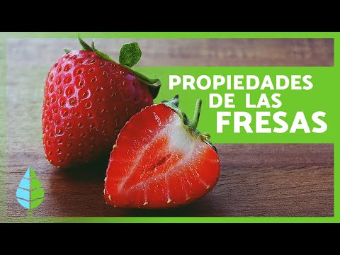 HEALTH BENEFITS OF STRAWBERRIES 🍓✅ | Medicinal Properties and What They're Used For