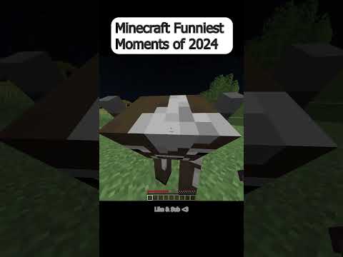 Insane Minecraft Glitches and Kills - Wvux 2024