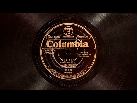 The Cat • Harry Reser's Syncopators (Victrola Credenza)