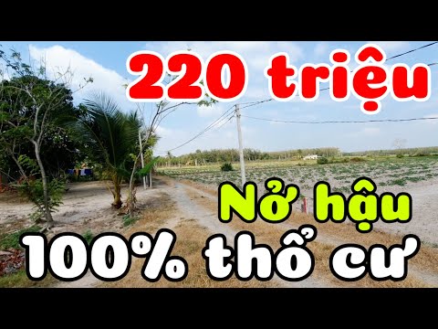 Đất 100% thổ cư 6x44 giá rẻ 220 triệu sổ hồng riêng ở Long Chữ Tây Ninh đường ô tô thông Tỉnh lộ 786