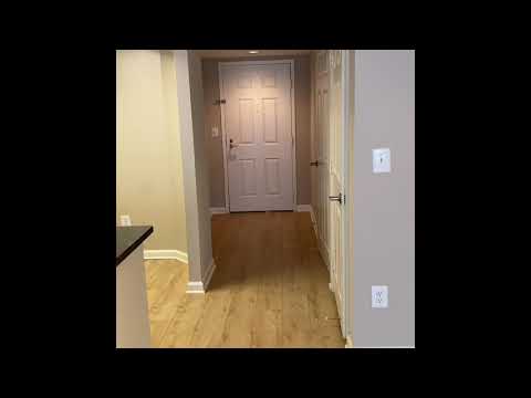 Tour the Williamsburg (Studio) Floor Plan