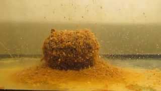 MVDE TURBO BLACK 2kg