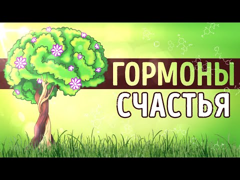 Миниатюра изображения товара Нехудожественная книга МИФ Гормоны счастья / 9785001467359 (Бройнинг Л.)