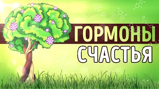 Пересказ и идея книги: Гормоны счастья