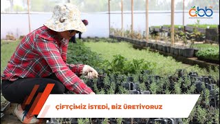 Ürettiğimiz Tıbbi Aromatik Bitkileri Çiftçilerimizle tanıştırıyoruz