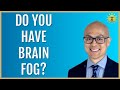3 Brain Health Experts | Root Causes of Brain Fog and Brain Fatigue