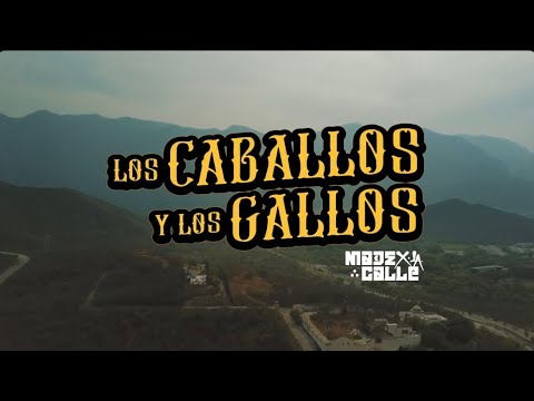 Lil Chris , Madexlacalle - Los caballos y los gallos (Video Oficial)