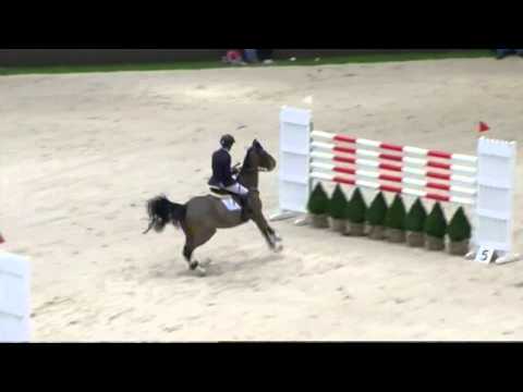 Prix Starling Hotel Geneva