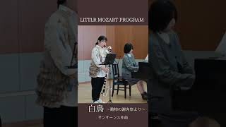 Download lagu 白鳥 サンサーンス作曲 バスクラリネット&ピアノ mp3 Download lagu 白鳥 サンサーンス作曲 バスクラリネット&ピアノ mp3
