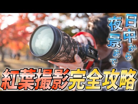 紅葉を上手に使おう トピックス