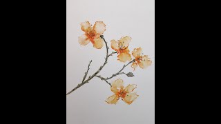 Learn how to paint watercolor flowers in this easy tutorial!