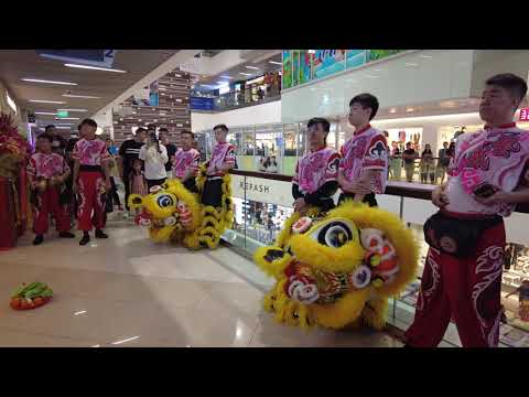 [4K] Cai Qing by World Lion Dance Champion Yi Wei at Causeway Point on 19 Aug 2023