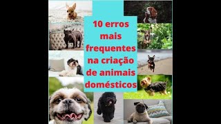 10 erros mais frequentes na criação de animais domésticos