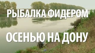Рыбалка на доне в ноябре
