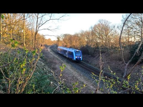Siemens Desiro DMU  of Nordjyske Jernbaner Railway filmed in Brønderslev area,Denmark