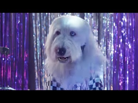 Pup Star: Better 2Gether Music Video - Shake Your Tail