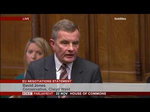 David Jones MP at the EU Negotiations Statement