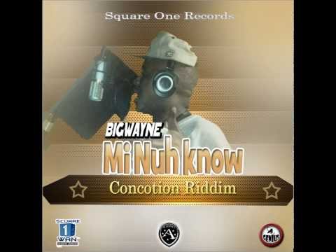 BIG WAYNE - MI NUH KNOW [AUG 2013] (CONCOTION RIDDIM)