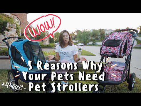A Pet Stroller