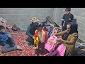 The story of "Asghar buying clothes for the children and taking Arman to the dentist"
