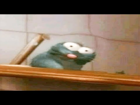 10 Minutes of Random Memes #8