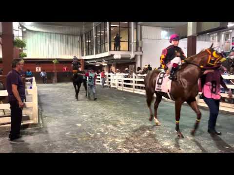 2022 Laddie Futurity(RG2) Recap- StallioneSearch.com