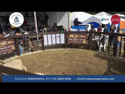 Cabaña Santa Maria - Campos y Ganados S.A.