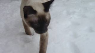 Stronger than I was (Eminem)