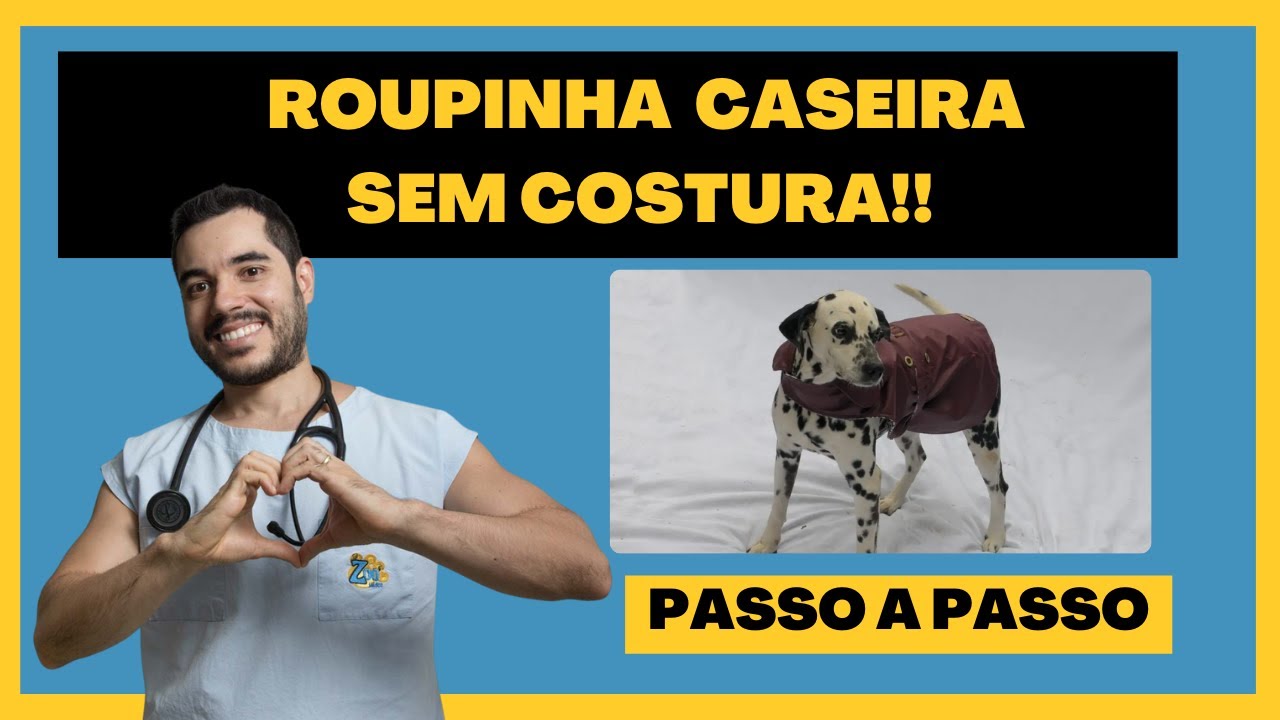 APRENDA HOJE COMO FAZER ROUPINHA (ROUPA) SEM COSTURA PARA CACHORROS E GATOS!