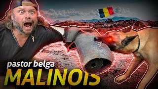 Miniatura do vídeo