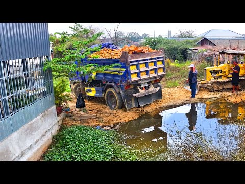 incredible best project landfill building house , bulldozer push soil ,truck transport soil
