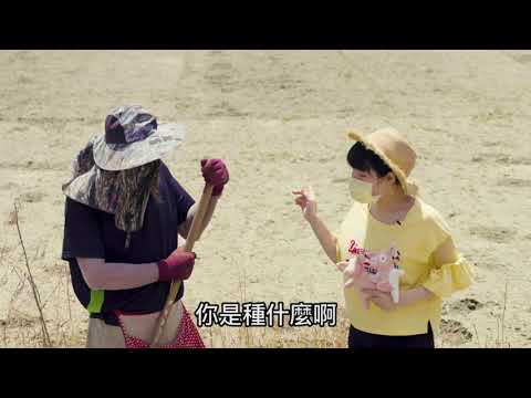 畜牧糞尿變黃金