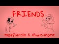 FRIENDS - Marshmello x Anne-Marie (Clean Version)