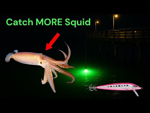Squid Fishing HACK You Need To Try... | Cornwall Squid Fishing | The Fal Anglers