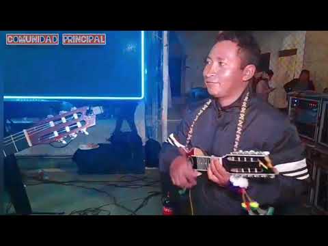 patapollerita - Emely Rocha Lucen de amor