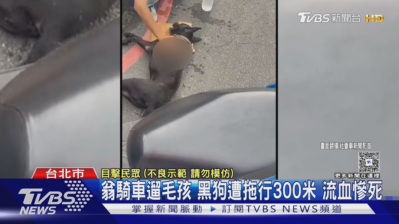 騎車遛狗釀悲劇!「拖行300公尺」愛犬斷氣亡 八旬飼主慘了