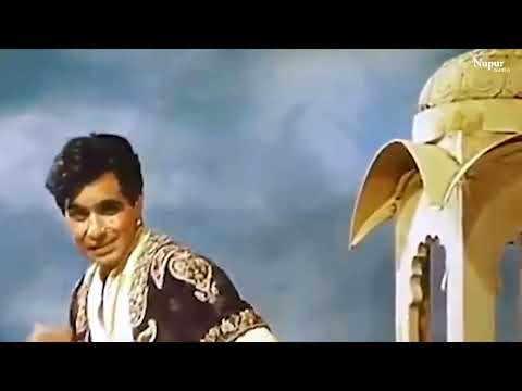 Khelo Rang Hamare Sang - Aan(1952) - Lata Mangeshkar, Shamshad Begum - Popular Hindi Holi Song