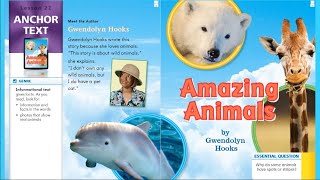 Journeys Lesson 22 for First Grade: Amazing Animals