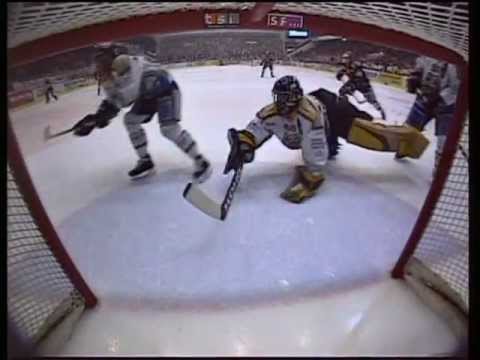 Schweizermeister SCB 2003/2004, Telebärn Spezialsendung