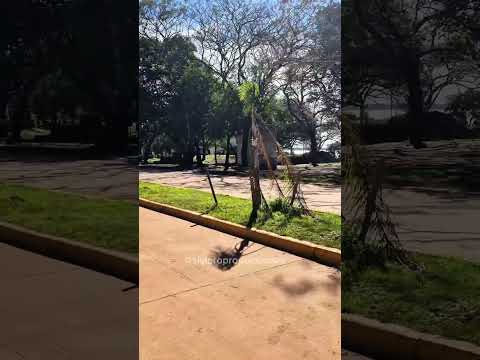 Nuestra Costanera - Santo Tomé - Corrientes el 03 de Julio 2.026