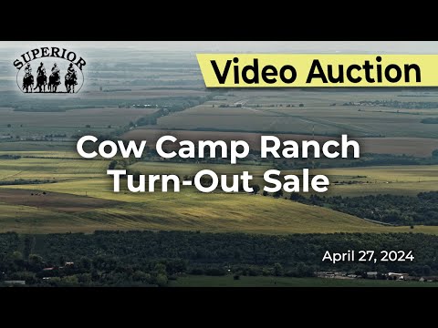 Cow Camp Ranch Turn-Out Sale