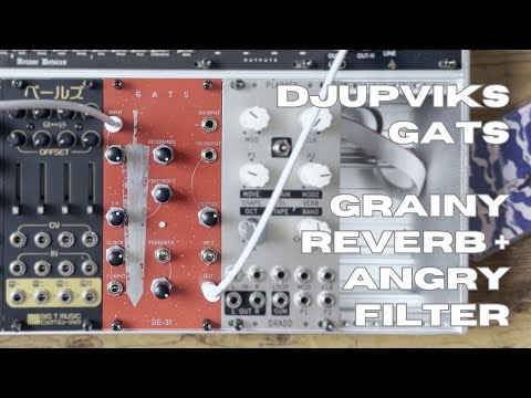 Djupviks Elektronik Gats [DE built] image 2