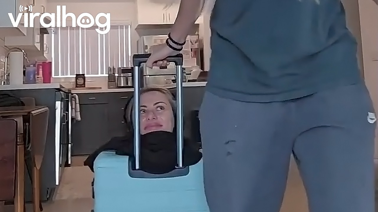 Sister Comes Along In Suitcase || ViralHog