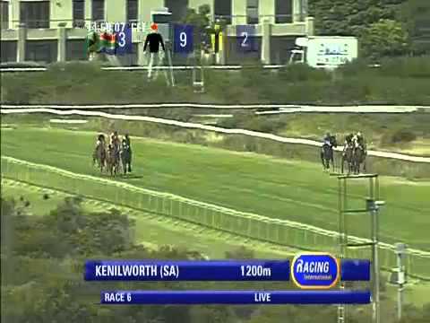 2013.12.28 Diadem Stakes - Welwitschia