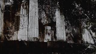 Peter Hammill - Forsaken Gardens (live cover with Martina Vesta)