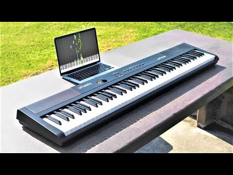 5 Best Digital Pianos 2023