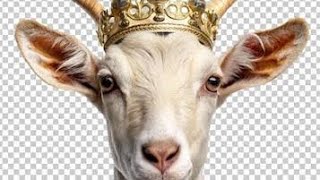 THE CRIMSON CORE  is live