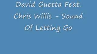 David Guetta Feat  Chris Willis - Sound Of Letting Go  NEW SONG 2009 HQ